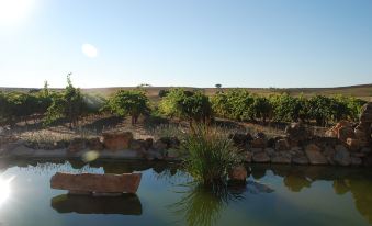 Casa Rural Teso de la Encina