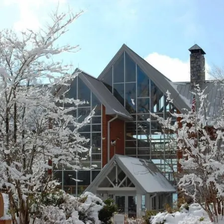 Amicalola Falls State Park and Lodge Отели рядом с достопримечательностью «Парк штата Амикалола Фолс»