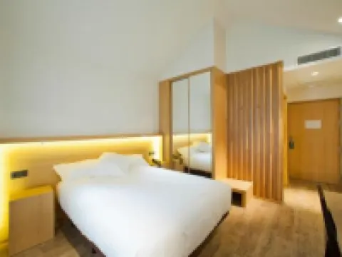 Hotel Araba Hotels in Vitoria