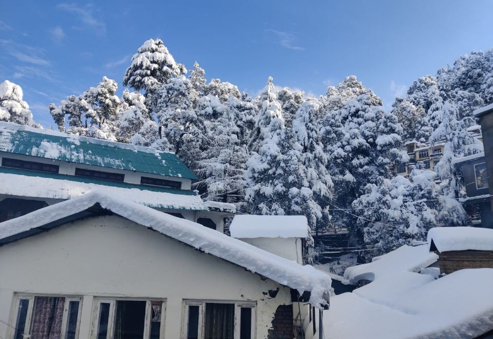 Forest Lodge