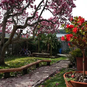 Tasman Bay Backpackers