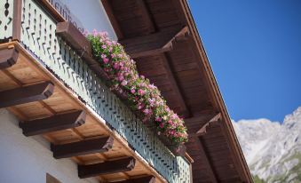 Pension der Steinbock - Das 300 Jahre Alte Bauernhaus - Tirol
