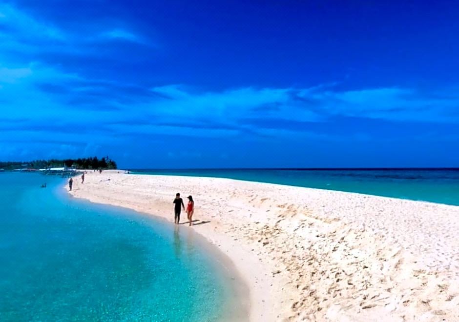 3. 말라파스쿠아 엑..