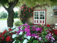 Logis l'Auberge Basque Hotels in Vidou