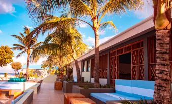 a tropical outdoor area with palm trees , wooden benches , and blue cushions under a clear blue sky at South Palm Resort Maldives