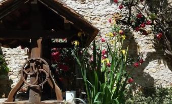 Le Clos de la Salamandre