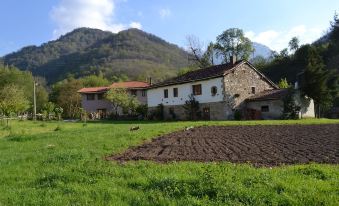 Alesga Hotel Rural - Valles del Oso -Asturias