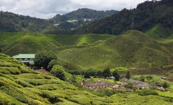 Hillview Inn Cameron Highlands Promo