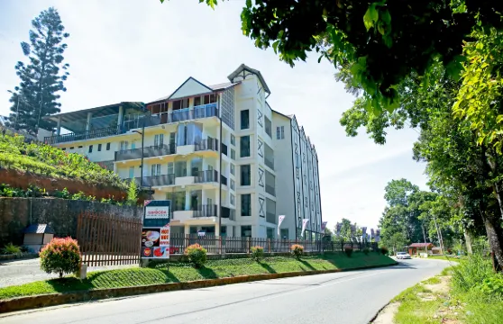 格林洛奇茶廠酒店