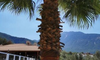 Celay Hotel