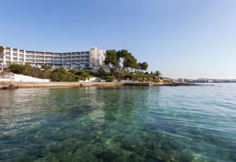 Palladium Hotel Don Carlos - Adults Only-Ibiza Updated 2023 Room  Price-Reviews & Deals | Trip.com