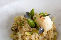 Golden Mar Menuda - breakfast