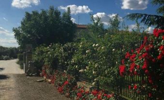 Tenuta la Rosa B&B