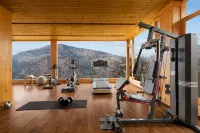 Baragarh Resort & Spa, Manali- Ihcl SeleQtions - Gym