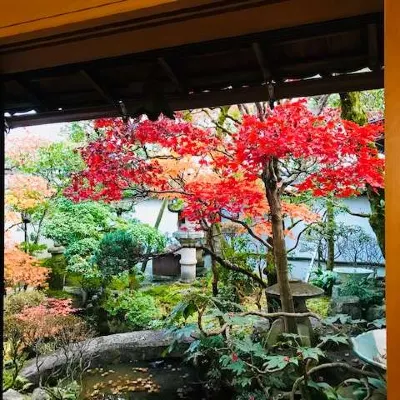 旅館いち川 恵那峡 遊覧船乗船場周辺のホテル