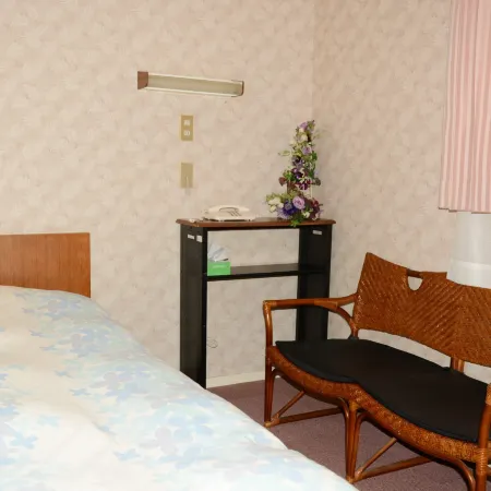 Hotel Cotton 100%