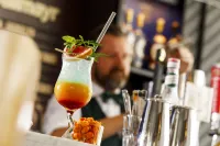 Holiday Inn DRESDEN - AM ZWINGER by IHG - バー