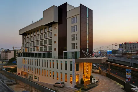 바기니 아이콘 프리미어