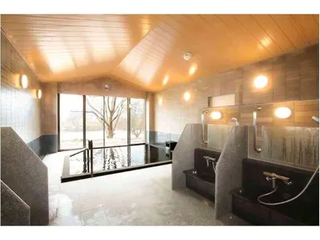 Cherry Park Hotel Отели в г. Сагаэ