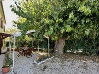 Historic House with Swimming Pool, Barbecue, Gym in Senigallia - the Gelso