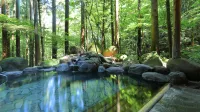 Tsuchiyu Bettei Satonoyu - Thermen