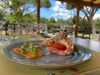 Residence Pineta - de playa