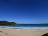 サニースポット