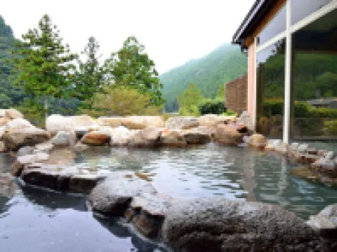 おくとろ温泉　やまのやど 北山村のホテル