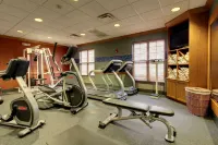 Hampton Inn & Suites Chicago/Aurora - Gym