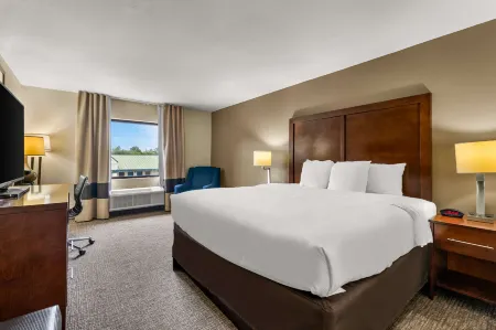 Comfort Inn & Suites Chipley I-10