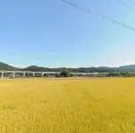 Youngju Cool Culture Pension Отели в г. Понхва