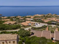Corbezzolo