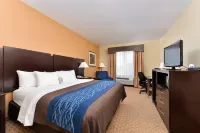 Comfort Inn & Suites Mexia