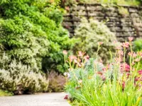 Haven Hotels in Carnon Downs