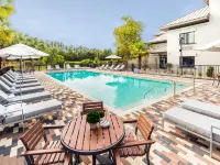 Doubletree Gainesville Hotels in Gainesville