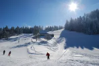 Luxurious 5 farmhouse-chalet, Spa sauna, quiet, 18p, All Inclusive - Chalets