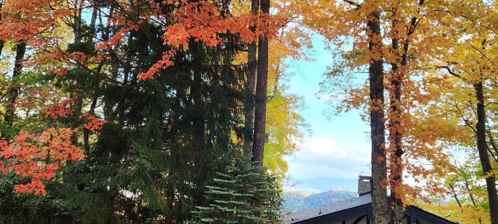 Legal Beech Bum Mountain Legal Retreat Hotels in Beech Mountain