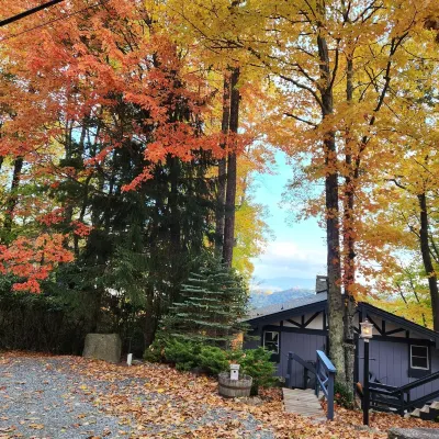 Legal Beech Bum Mountain Legal Retreat