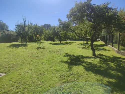 Erholungsurlaub Inmitten des "biosphärenreservat Rhön" für bis zu Acht Personen Hotels in Bischofsheim an der Rhon