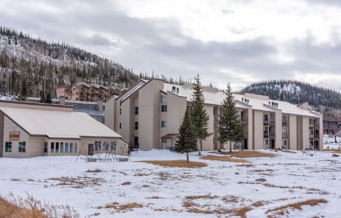 3 BR, 3 Bath sleeps 10.  Next to Giant Steps Lodge.  Ski in/out