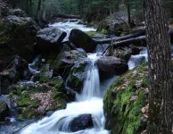 Adventures in the Northwoods