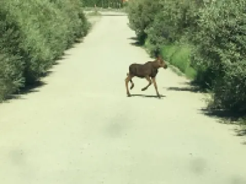 Polaris Paradise Elkhorn, Entire Townhouse in scenic Polaris, MT