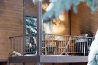 Luxe & Fully Stocked in Park City-Steps to Lift!