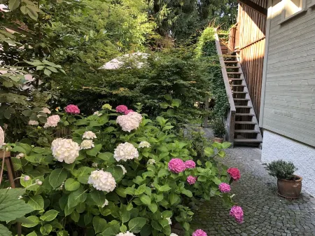 Idyllic apartment, central near the lake