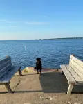 3 Bedroom Cottage just steps to Private Beach! Pet Friendly!