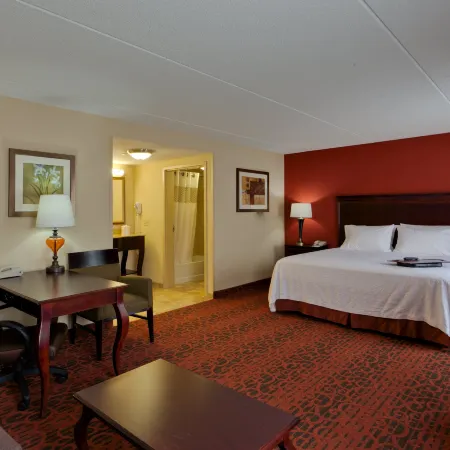Hampton Inn Rochester-Webster