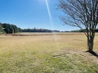 Newly Renovated, 4Bd 2 BA, 1 Full Acre, Sleeps 8, and is Pet Friendly.