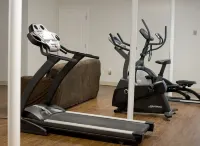 3 acre Lake, Farm Animals Petting Zoo, Horses and Horseback Riding, Room to roam