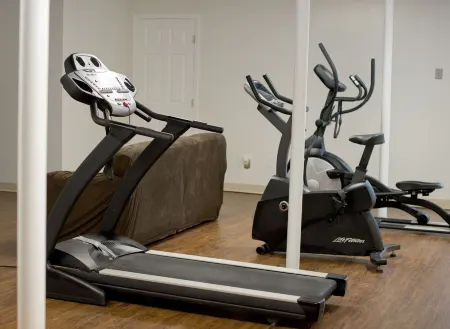 3 acre Lake, Farm Animals Petting Zoo, Horses and Horseback Riding, Room to roam