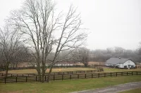 Beautiful, Relaxing Farm Retreat with amazing grounds